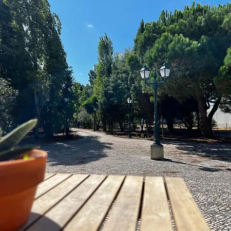 Vagos Guest House
