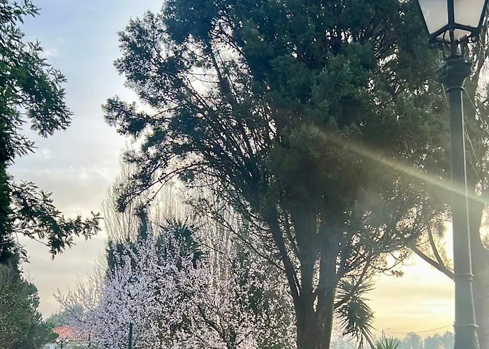 Homestay Vagos Guest House Vagos